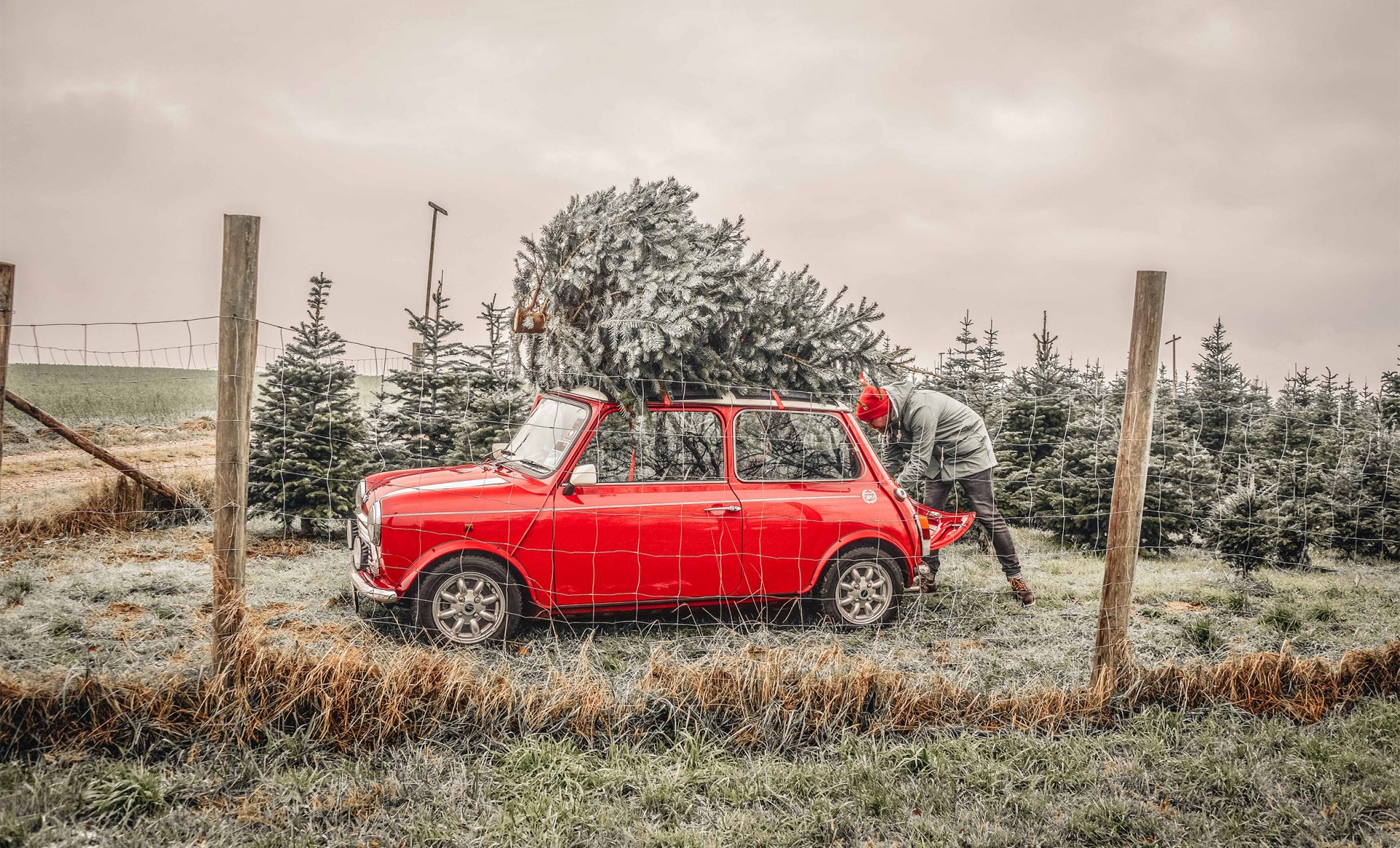 Classic Mini mit Weihnachtsbaum auf dem Dach, Seitansicht