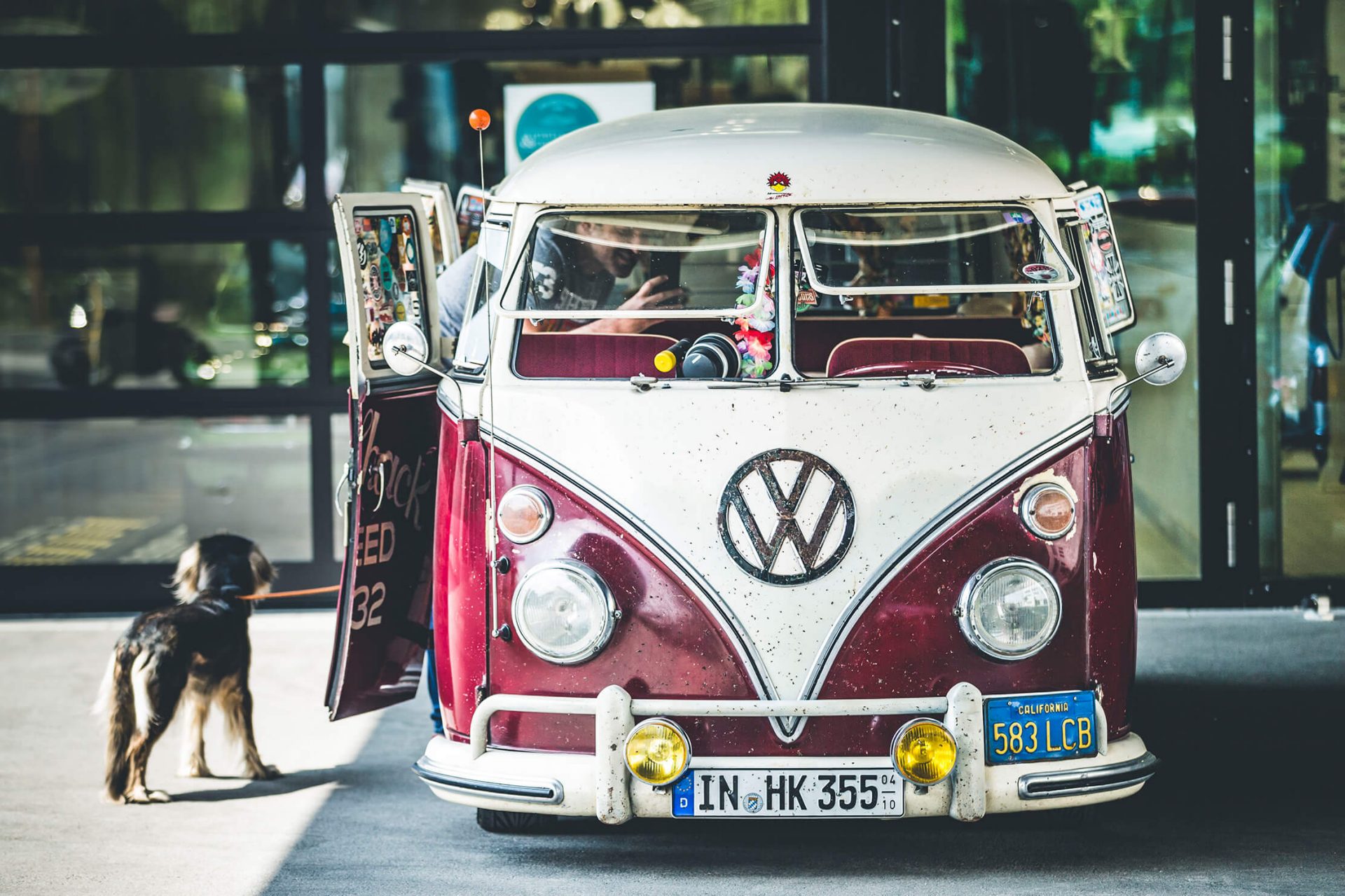 Roter und weißer VW Transporter, der vor einer Ausstellung steht. Neben dem Transporter steht ein Hund.