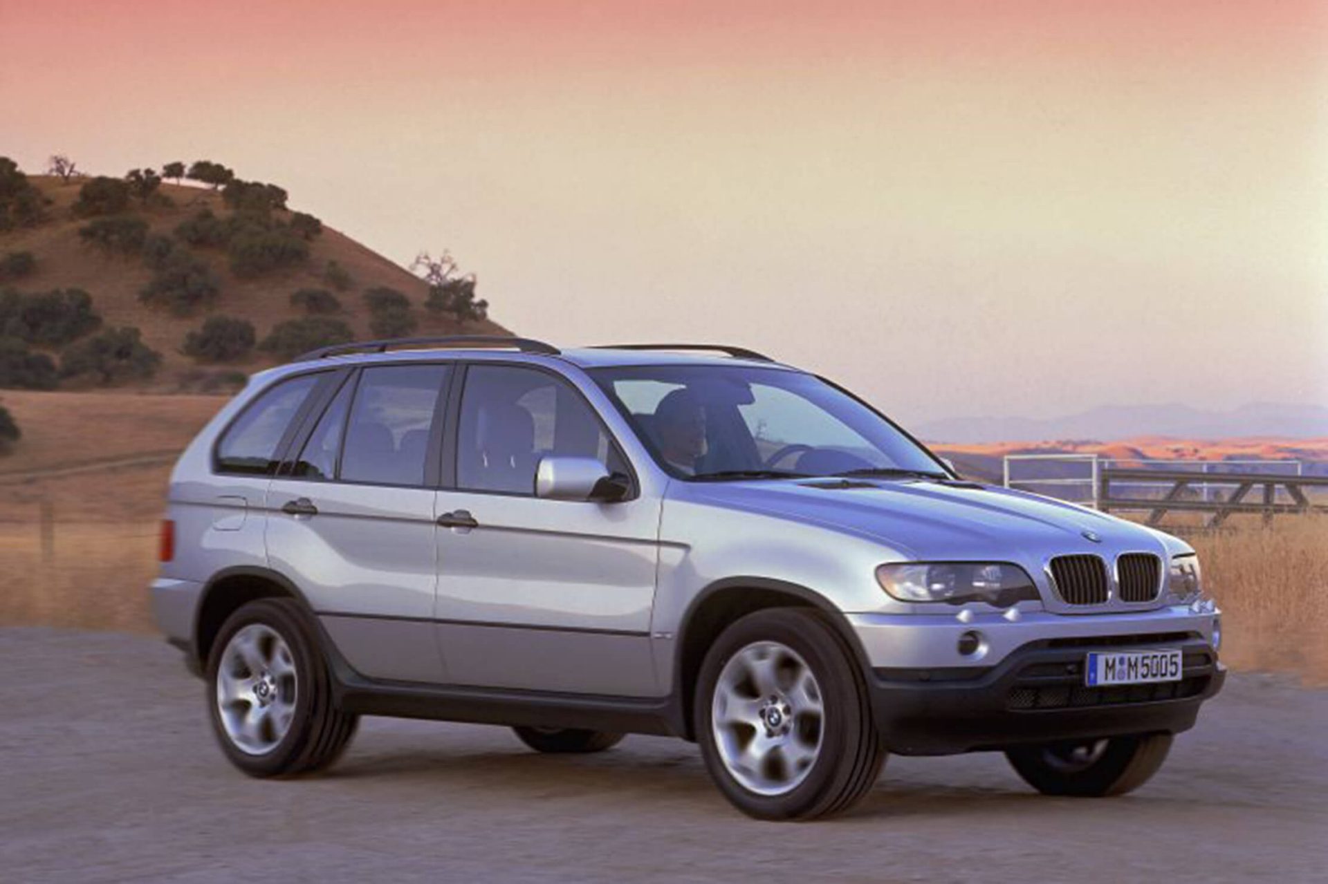 Seitenansicht eines silbernen BMW X 5 vor pittoresker Landschaft