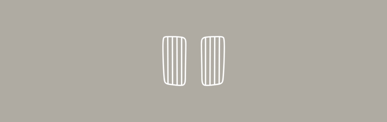 Illustration of the BMW kidney grille.