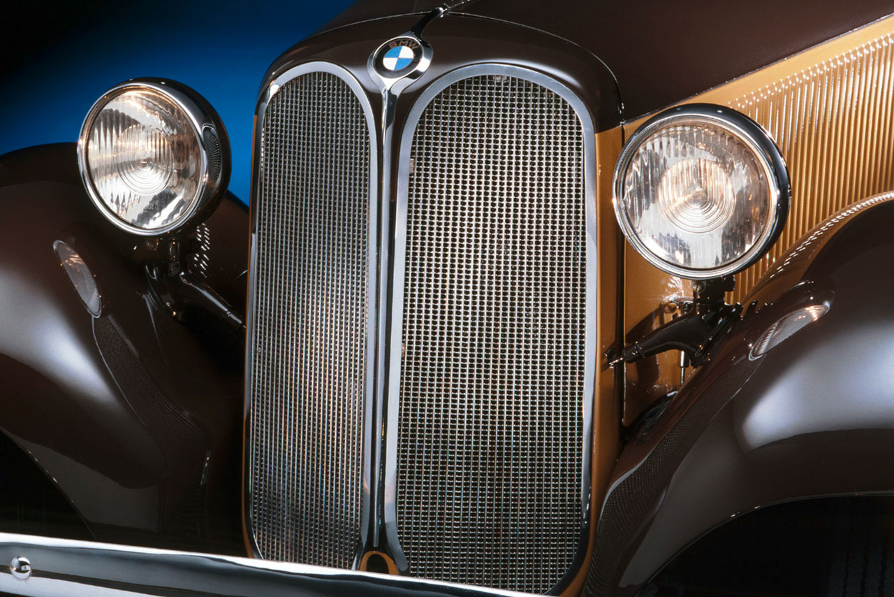 Kidney of  a BMW 303